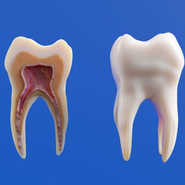 esp-endodontia